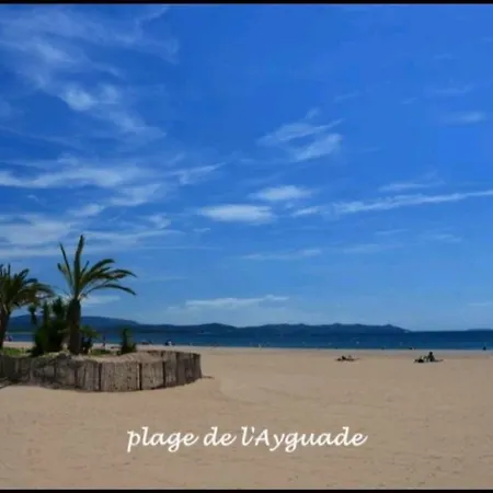 公寓 Studio L Ayguade A 300 Metres De La Plage 耶尔
