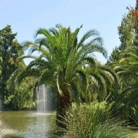 Studio L Ayguade A 300 Metres De La Plage 公寓 *